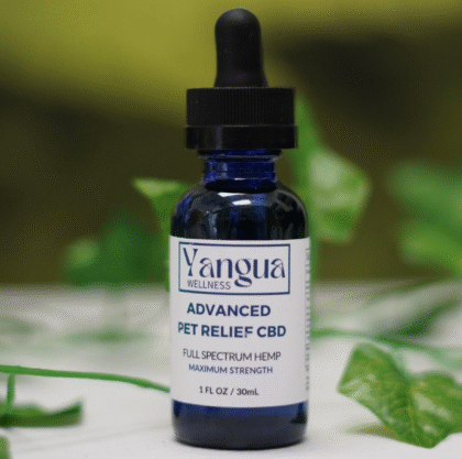 Advanced Pet Relief CBD