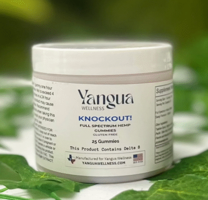 Knockout THC Sleep Gummies (25ct) - Blue Raspberry